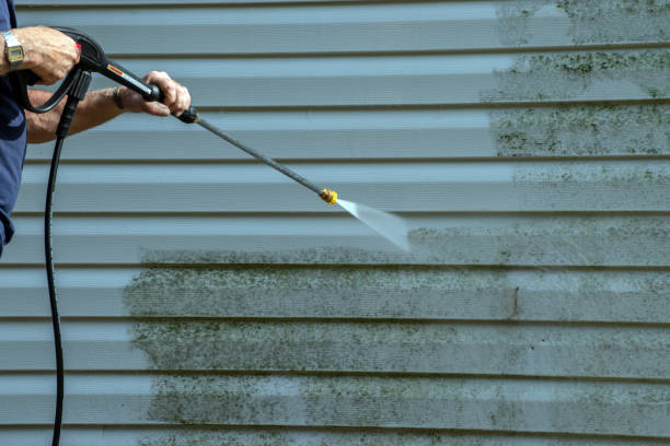 Best Gutter Cleaning  in Wildwood, FL