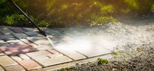 Best Fence Cleaning  in Wildwood, FL